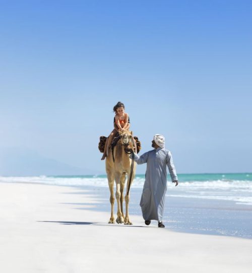 CAMEL-RIDING-lores